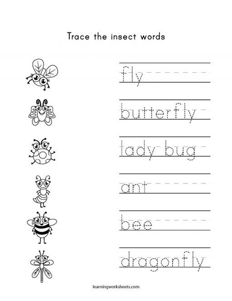 Pre Kindergarten Writing Activities, Bugs And Insects Preschool Worksheets, Butterfly Worksheets Kindergarten, Ant Math Activities For Preschool, Insect Writing Activities Preschool, Insect Tracing Preschool, Bug Learning Activities Preschool, Bug Preschool Worksheets, Bugs And Insects Preschool Activities Free Printable