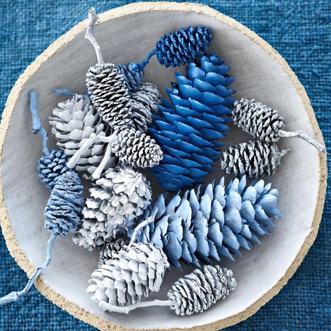 white-blue-painted-pinecones-00f3845a Silver And Blue Christmas Tree, Silver And Blue Christmas, Diy Plant Stands, House Decor Ideas, Fall And Christmas, Simple Holiday Decor, Painted Pinecones, Blue Christmas Decor, Silver Christmas Decorations