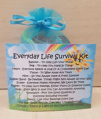 (This survival kit is presented in a beautiful organza bag. Peg – To Help You Hang In There. Rubber Band - Be Flexible. Things Might Not Always Go your Way. 10cm x 15cm). Tea Bag - Relax And Go Over Your List Of Blessings. Survival Kit For Life, Friendship Gifts Diy, Parent Survival Kit, Kit Gift Ideas, Birthday Survival Kit, Survival Kit Gifts, Cookies For Santa Plate, Santa Plate, Grandma Christmas