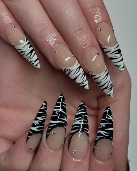 u already know with the zebra stripes and the red bottomsssss👠🦓 Nail Ideas Animal Print, Nails With Stripes, Nails Stripes, Black Zebra Nails, Zebra French Tip Nails, Red Zebra Print Nails, Zebra Print Nails Designs, Red Zebra Nails, Almond Zebra Nails