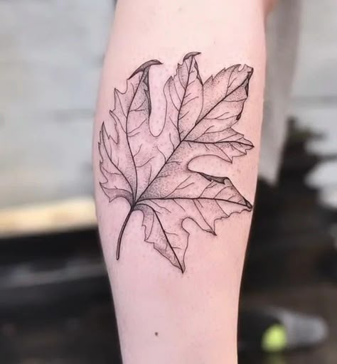 Detailed Leaf Tattoo, Negative Space Leaf Tattoo, Autumn Leaves Tattoo Design, Maple Leaf Tattoo Black And White, Lima Bean Tattoo, Sycamore Leaf Tattoo, Big Leaf Tattoo, Autumn Leaf Tattoo, Fall Leaf Tattoo