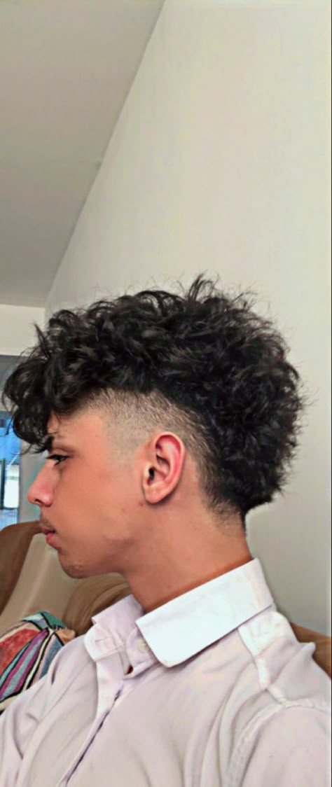 Curly Burst Fade Mullet, Curl Mullet, 3c Mullet, Afro Mullet, Masc Hairstyles, 3a Curly Hair, 3c Hair, Men Haircut Curly Hair, Curly Mullet