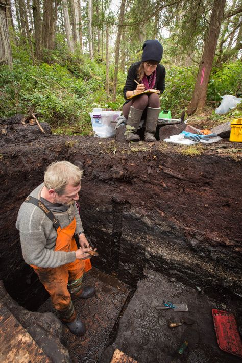 An older-than-expected archaeological dig in British Columbia is building the case for a long-inhabited Pacific coast. Ice Age Village, Archaeology Dig, University Of Victoria, People Come And Go, Ancient Village, The Pyramids, Archaeological Discoveries, Canadian History, Phd Student