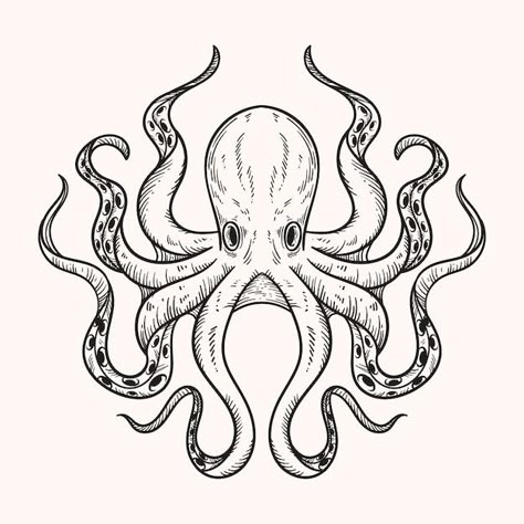 Octopus Head Drawing, Octopus Outline Drawing, Octopus Sketch Drawings, Octopus Vector Illustration, Cartoon Octopus Drawing, Octopus Sketch Simple, Octopus Illustration Graphic Design, Octopus Drawing Sketches, Octopus Sketches