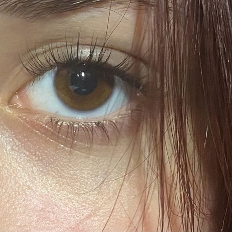 Brown eyes Bright Brown Eyes, Marin Core, Brown Eyes Girl, Madison Core, Aphmau Minecraft, Green Brown Eyes, Light Brown Eyes, Brown Eyes Aesthetic, Pjo Dr