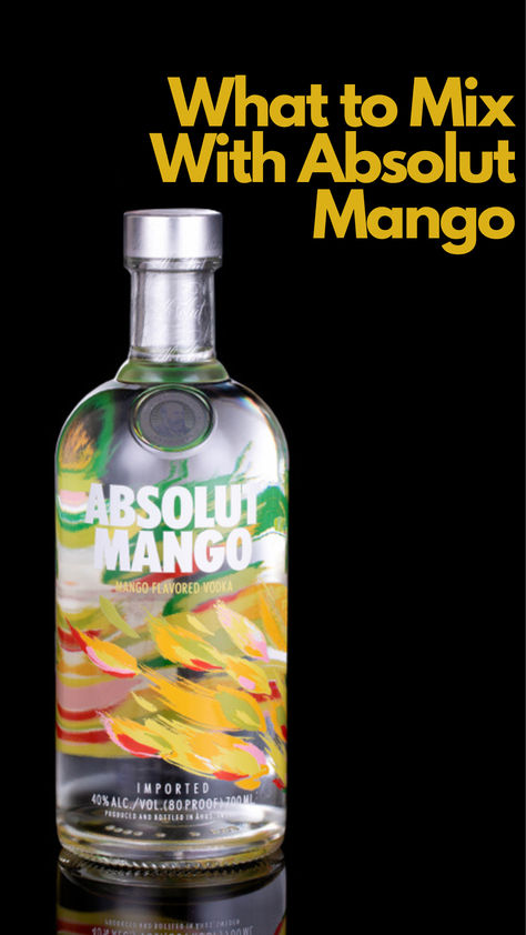 11 Drinks to Mix with Absolut Mango Mango Vodka Drinks Recipes, Pool Dancing, Absolut Mango, Mango Martini, Mango Vodka, Mango Drink, Vodka Recipes Drinks, Mango Cocktail, Vodka Mixes