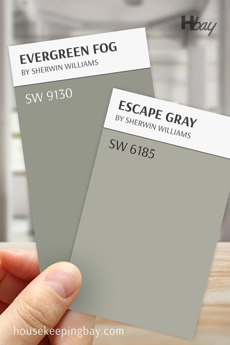 The image shows two Sherwin Williams paint swatches being compared. The swatch on the left is labeled "Evergreen Fog" with the code SW 9130, and the swatch on the right is labeled "Escape Gray" with the code SW 6185. Both are muted tones, with Evergreen Fog presenting as a soft green with gray undertones, while Escape Gray appears as a lighter, more neutral greenish-gray color. The hand holding the swatches is visible at the bottom, and in the background, there is a blurred, neutral interior. Escape Gray, Evergreen Fog, Sherwin Williams Gray, It Is Well, Trim Color, Soft Natural, Coordinating Colors, Paint Color, Sherwin Williams