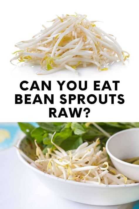 Bean Sprout Recipes, Microgreens Recipe, Bean Sprout, Sprouts Salad, Sprout Recipes, Bean Sprouts, Nutritional Value, Bean Recipes, Wonderful World