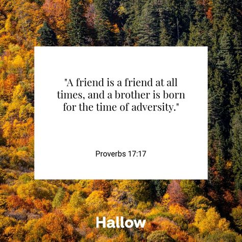 Proverbs 17:17 Proverbs 17, Proverbs 17 17, Proverbs 28, Praying The Rosary, Encouraging Bible Verses, Right To Privacy, A Brother, Scripture Quotes Bible, Morning Prayers