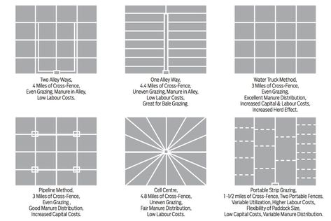 Farm Layout Design, Cow Fence, Rotational Grazing, Pasture Management, Raising Cattle, Animal Movement, Cattle Ranch, Farm Plans, Blue Heeler Dogs