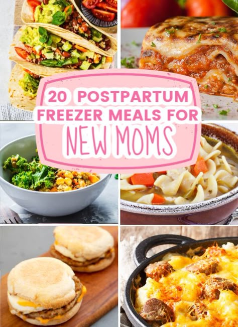 Freezer Meals For Maternity Leave, Freezer Meals For Expecting Moms, Pre Made Freezer Meals Dinners, Meals To Put In Freezer, Good Postpartum Freezer Meals, Post Birth Freezer Meals, Postpartum Meal Planning, East Freezer Meals Postpartum, Meal Prep For Birth