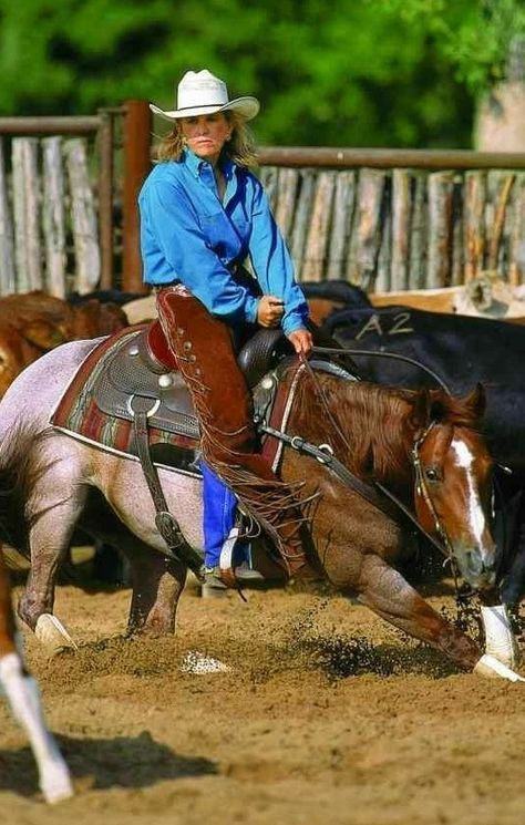 Working Cow Horse, Reining Horses, Cowgirl And Horse, American Quarter Horse, Western Riding, Western Pleasure, Vintage Cowgirl, All The Pretty Horses, Horse Trailer