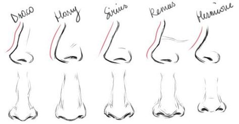 How To Draw Different Nose Shapes, Drawing Different Nose Shapes, Nose Shapes Front View, Hooked Nose Drawing Front View, Nose Shape Drawing, Hooked Nose Front View Drawing, Crooked Nose Front View, Pointy Nose Drawing, Nose Shapes Chart