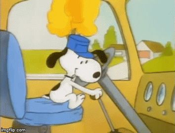 Bus Gif, Driving Gif, Snoopy Driving, Snoopy School, Snoopy Videos, Snoopy Gif, Snoopy Dance, Peanut Gang, Snoopy Cartoon