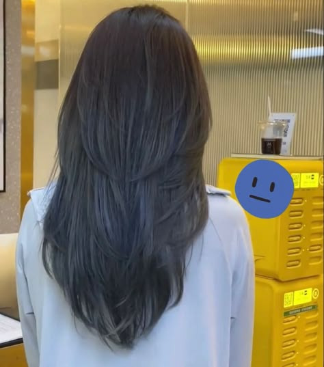 Layers On Straight Hair Not Styled, V Haircut For Hair Medium, Long V Layered Hair, Asian Long Layers Haircut, V Layered Haircut Short, Short Layered Haircuts For Long Hair, V Haircut Short Hair, Short Layers On Medium Hair, Long Hair Cuts With Layers Round Face