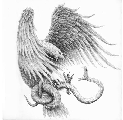 Eagle Attacking Snake, Mexican Eagle With Snake Tattoo, Eagle Snake Tattoo Realistic, Eagle And Snake Drawing, Dove Snake Tattoo, Zarathustra Tattoo, Eagle Catching Snake Tattoo, Eagle And Snake Tattoo, Eagle With Snake