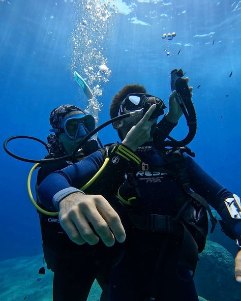 some snapshots from my recent Rescue Diver escapade featuring a lil friend who interrupted our unconscious diver training (with absolutely 0 complaints from me) 🐢🫶🏼 missing the Greek weather a whole lot right now with all this rain🥲 • • • • #padi #scubadiving #rescuediver #learntodive #diving Rescue Diver, Scuba Diver, Scuba Diving, Diver, North Carolina, Diving, Right Now, Quick Saves