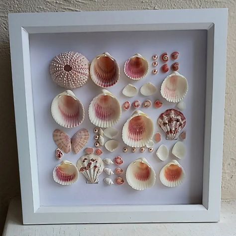 Shell Shadow Box Ideas, Shadow Box Ideas, Shell Projects, Tiny Shells, White Effect, Shell Ideas, Shell Craft, Sailors Valentine, Pink Pearls