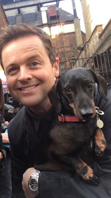 Declan Donnelly, Ant And Dec, Ant & Dec, Britain Got Talent, Got Talent, A Celebrity, Saturday Night, Ants