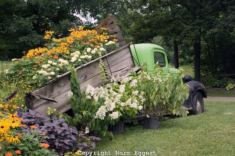 Maybe we could dress up Dave's dump truck to look like this! Lawns Landscaping, Truck With Flowers, Lawn Ideas, Junk Garden, Lawn Landscape, Lawn Art, Flower Truck, Garden Junk, Old Truck