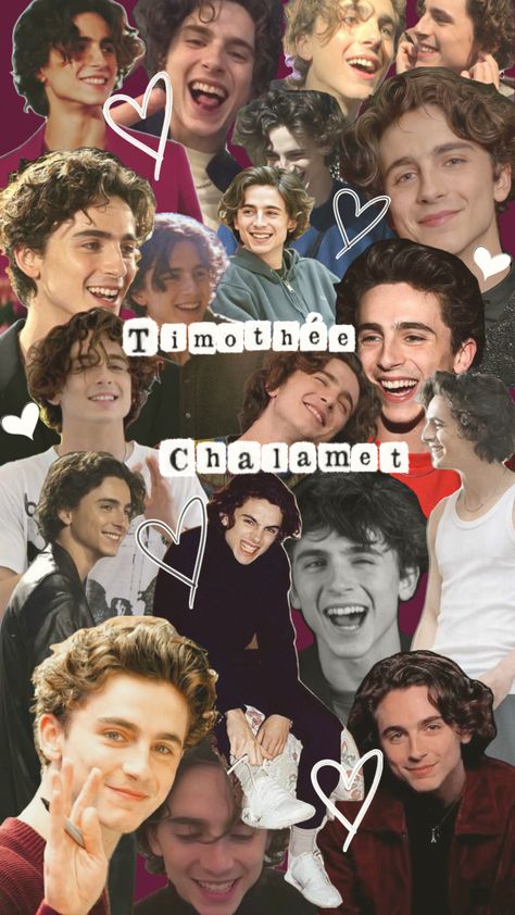 #timotheechalamet #liltimmytim #timmy #wonka #statisticsyuh Tim Other Chalamet, Regulus Acturus Black, Hottest Guy Ever, Timothee Chalamet, Sweet Tea, Photo Wallpaper, Funny Short Videos, Create Collage, My Only Love