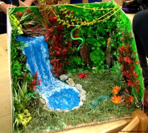 Shoebox Habitat, Rain Forest Diorama, Ecosystems Diorama, Rainforest Diorama, Shoe Box Diorama, Biome Project, Rainforest Classroom, Rainforest Crafts, Habitat Project