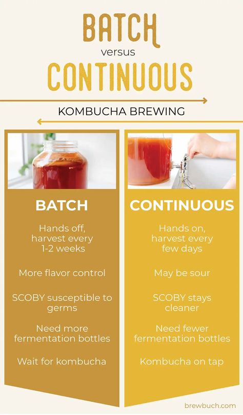 Kombucha Starter Recipe, Kombucha Recipe Scoby, Second Fermentation Kombucha, Kombucha Flavor Ideas, Kombucha Recipe Flavored, Homemade Kombucha Recipe, Scoby Kombucha, Continuous Brew Kombucha, Kombucha Flavors Recipes