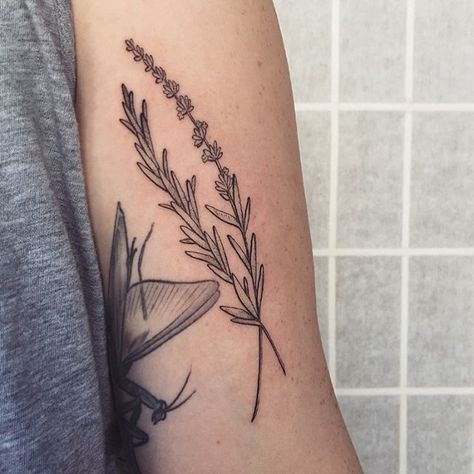 Cooking Tattoos, Lupine Tattoo, Rosemary Tattoo, Herb Tattoo, Lavender And Rosemary, Lavender Tattoo, Rosemary Lavender, Branch Tattoo, Time Tattoos