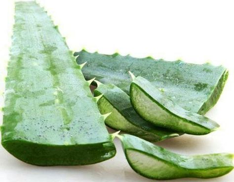 Commonly known as the "first aid plant" or the "burn plant," aloe vera is a succulent whose juicy middle has been used cosmetically and medically for centuries but did you know ....   the benefits to you could be endless.... Plant Aloe Vera, 2nd Degree Burns, Degree Burns, Soothe Sunburn, Real Foods, Fresh Aloe Vera, Aloe Vera Plant, Aloe Vera Leaf, Medicinal Plants