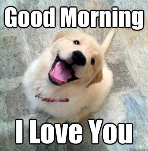 80 Good Morning Memes To Kickstart Your Day | SayingImages.com Good Morning Dog, Morning Meme, Good Morning Love You, Good Morning Meme, Funny Good Morning Memes, Funny Good Morning, Bad Morning, Love You Meme, Memes For Him