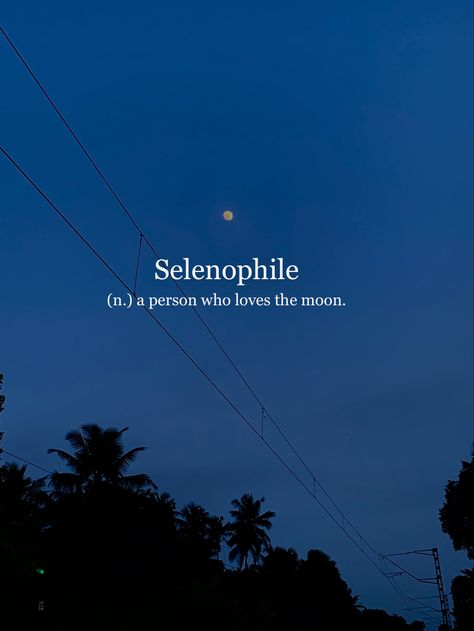 #aesthetic #moon #moonlight #selenophile #dark #latenightthoughts Dear Myself, Words To Describe People, Aesthetic Moon, Glam Photoshoot, Unusual Words, Never Enough, Milk And Honey, Words To Describe, A Novel