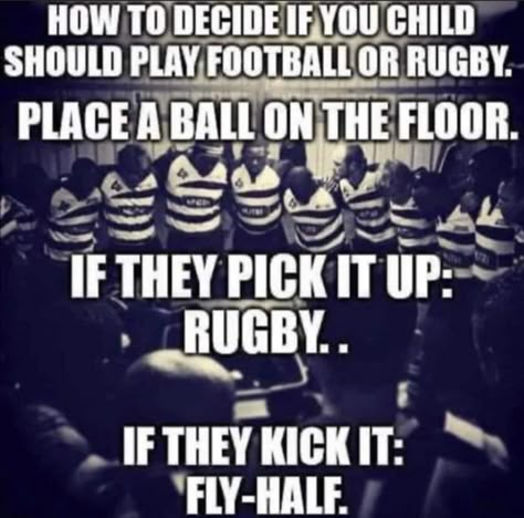 Rugby Jokes, Rugby Memes, Rugby Funny, Rugby Quotes, Aussie Memes, Irish Rugby, Scotland Rugby, Rugby Club, Big Mood