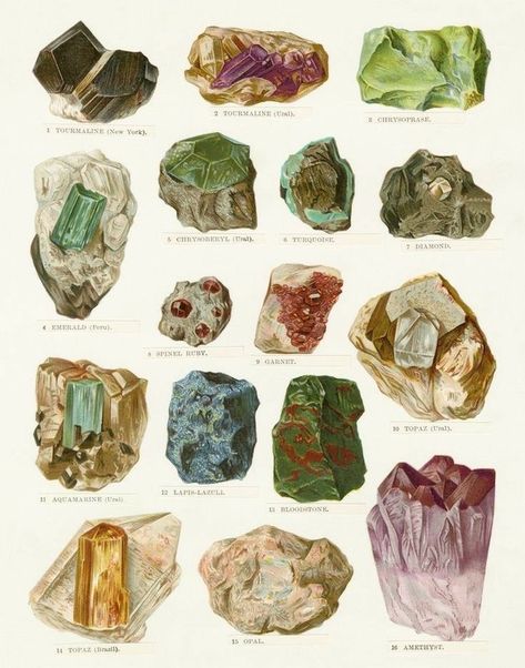 Mineral Chart, Minerals Art, Desert Southwest, Geology Rocks, Crystal Aesthetic, Deco Retro, Vintage Poster Art, Botanical Drawings, Minerals And Gemstones