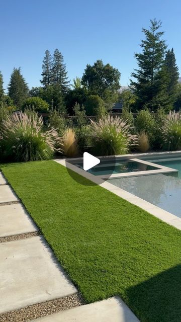 Nicole Salceda on Instagram: "People warned me but I didn’t listen 🤦🏼‍♀️ These fountain grasses are gorgeous to look at but skimming them out of the pool all day is driving me crazy!! Definitely don’t plant them anywhere near your pool." Pool With Grass Around It, Driving Me Crazy, Fountain Grass, Instagram People, Drive Me Crazy, Grasses, The Pool, Outdoor Spaces, To Look