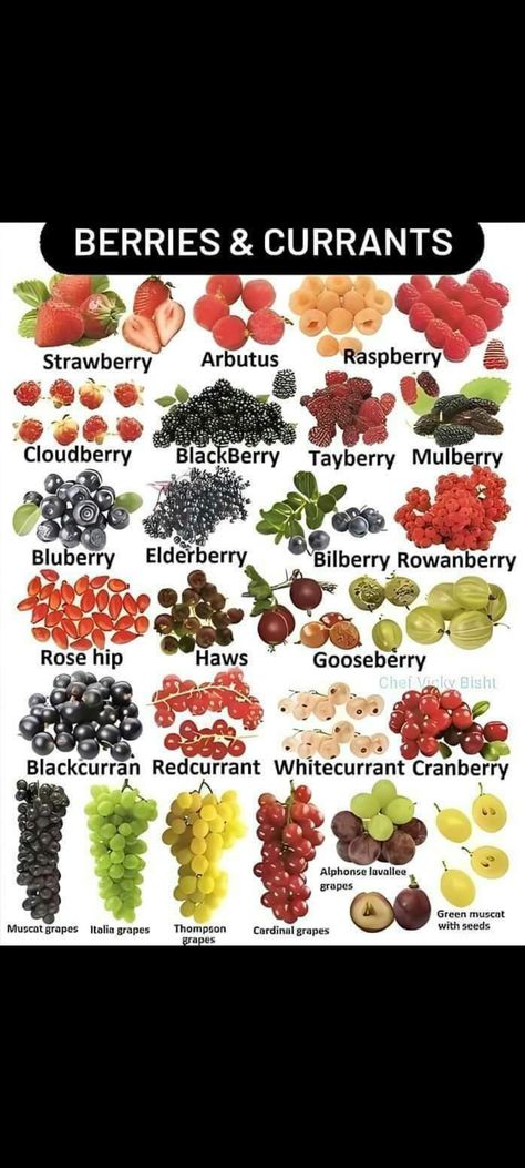 Edible Berries, Gooseberry Recipes, Types Of Berries, Berry Patch, Berry Garden, Growing Fruit Trees, Berry Plants, Home Vegetable Garden, Growing Fruit