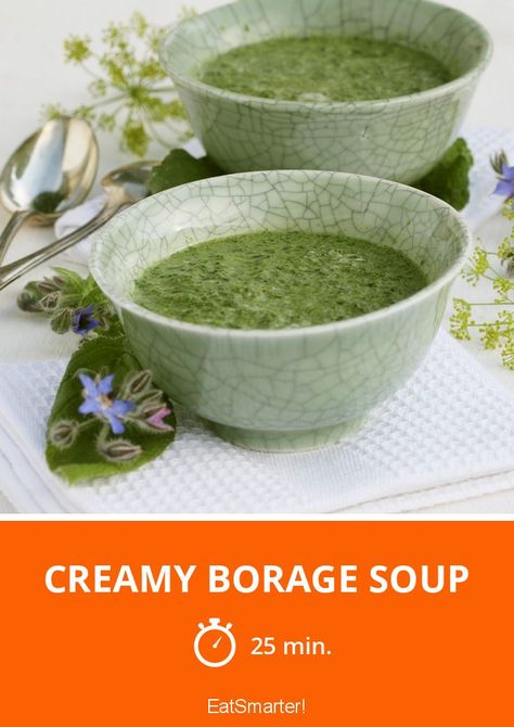 Creamy Borage Soup - quick recipe - simple dish - So healthy is the recipe: 8.4/10 | A recipe idea by EAT SMARTER | soup #herb #healthyrecipes Healthy Delicious Recipes, Foraging Recipes, Foraged Food, Pork Sliders, Meatless Main Dishes, Garden Recipes, Bbq Pork, Food Shows, Healthy Delicious