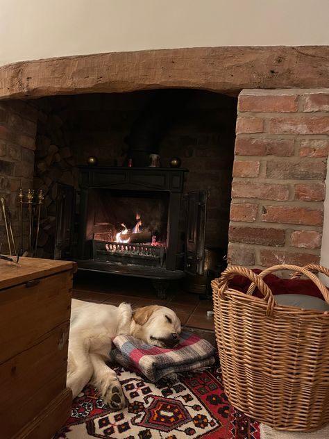 Dog By Fireplace, Golden Retriever Home Decor, Golden Retriever Lake, Gold Retriever, Christmas Golden Retriever, Cornish Pixie, English Golden Retrievers, Countryside Life, Old House Interior