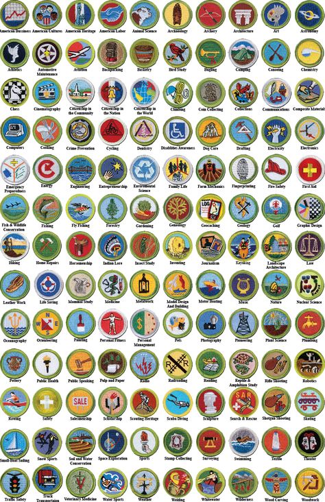 Boyscout Badges, Eagle Scout Badge, Cub Scout Badges, Scouts Badges, Eagle Scout Project Ideas, Boy Scout Badges, Boy Scouts Merit Badges, Eagle Scout Ceremony, Brownie Badges