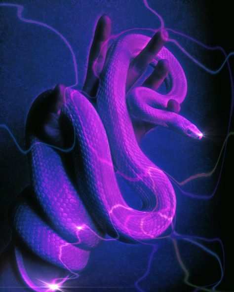 Purple Medusa Aesthetic, Purple Snake Aesthetic, Background Dark Purple, Purple Aesthetic Dark, Aesthetic Dark Purple, Wallpaper Aesthetic Purple, Image Dbz, Purple Aesthetic Background, Pretty Snakes