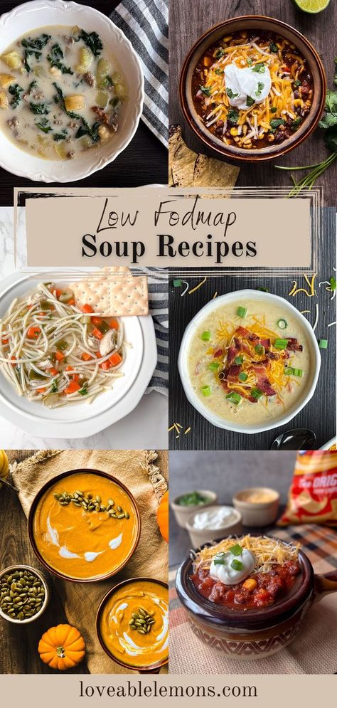 six photos of examples of soups. Low Residue Soup Recipes, Fodmap Soup Recipes Crock Pot, Low Acid Soup Recipes, Low Fodmap Soup Slow Cooker, Slow Cooker Low Fodmap, Ibs Soup Recipes, Meal Prep Low Fodmap, Low Fodmap Meal Ideas, Low Fodmap Soups Gluten Free