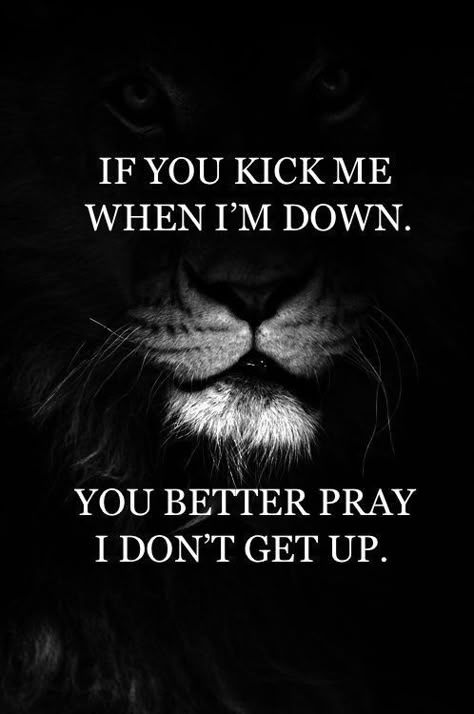 Quotes With Lion Images, You Vs You, Lion Mentality, Alpha Male Quotes, Leo Quotes, Lion Quotes, King Quotes, Wolf Quotes, Strong Mind Quotes