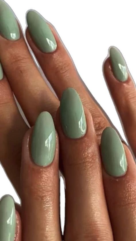 August Nails, Lilac Nails, Plain Nails, Solid Color Nails, Fall Nail Trends, Subtle Nails, Green Nail, Thanksgiving Nails, Gradient Nails