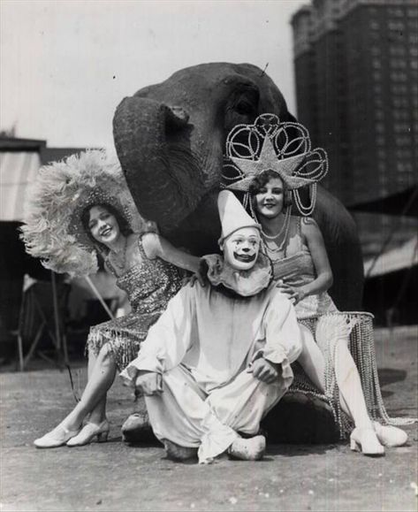 Some of the best "old school" circus photos you will ever see. Vintage Circus Photos, Cirque Vintage, Old Circus, Circus Aesthetic, Pierrot Clown, Circus Sideshow, Circus Acts, Dark Circus, Circus Elephant