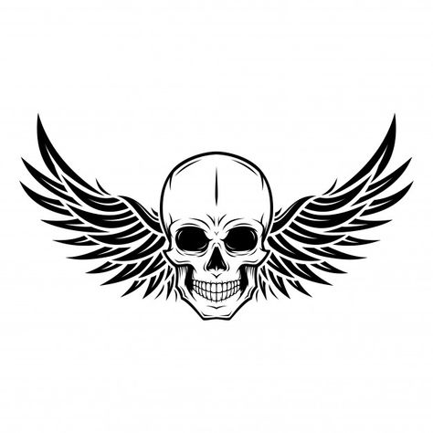 Skull Wing Illustration Premium Vector Wing Illustration, Winged Skull, Skull Decal, Premium Vector