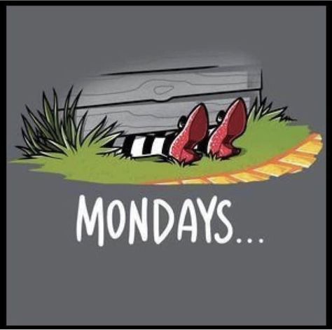 Monday Sucks, Wizard Of Oz Quotes, I Hate Mondays, Monday Memes, Monday Humor, Weekday Quotes, The Wonderful Wizard Of Oz, Monday Quotes, What Day Is It