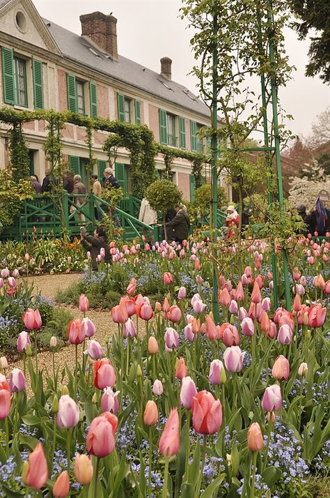 Giverney: Monet's Garden - Your Homebased Mom Giverny Monet, Monet Garden Giverny, Formal Garden Design, Monet's Garden, Formal Garden, Paris Photo, Garden Cottage, Exotic Flowers, Claude Monet