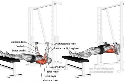 Weighted inverted row exercise Rear Delt Row, Weight Training Plan, Inverted Row, Good Back Workouts, Biceps Brachii, Cable Workout, Latissimus Dorsi, Rear Delt, Compound Exercises