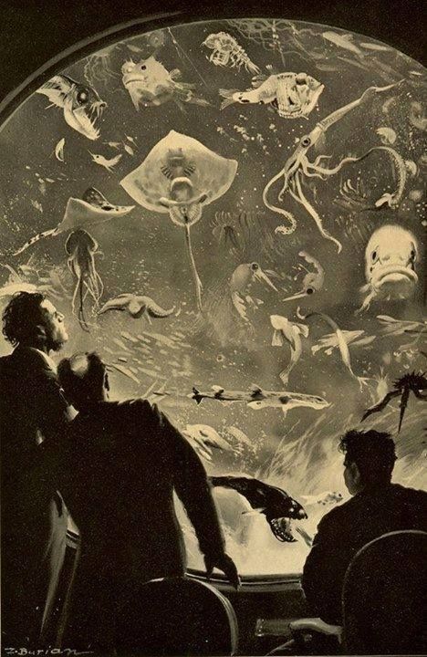 Zdenek Burian, Illustration for Jules Verne's '20,000 Leagues Under the Sea' , 1937. Outset Island, Sea Illustration, Leagues Under The Sea, Jules Verne, Sea Monsters, Arte Fantasy, Art And Illustration, Banksy, Sea Creatures