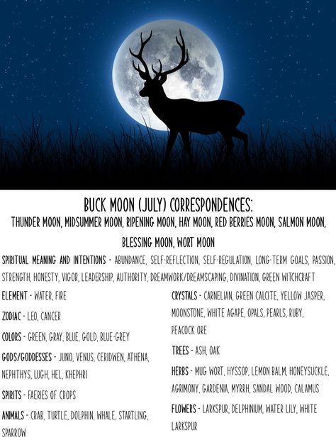 Buck Moon Ritual 2024, Buck Moon Meaning, New Moon Correspondences, Buck Moon Correspondences, Moon Cycle Meaning Witch, Cold Moon Correspondences, Full Moon July, Witchcraft Store, Full Buck Moon