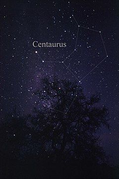 Centaurus - Wikipedia Centaurus Constellation, History Of Universe, Aries Constellation Tattoo, Globular Cluster, Alpha Centauri, Binary Star, Horoscope Tattoos, Famous Star, Aries Constellation